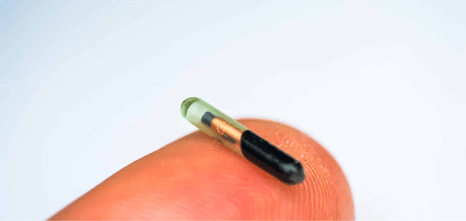 A small glass-encased microchip implant resting on the tip of a human finger against a plain background.